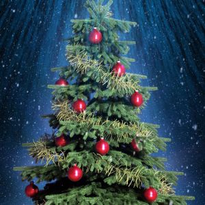 Árbol de Navidad con Estrella