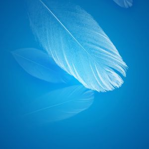 Fondo Abstracto de Pluma Azul