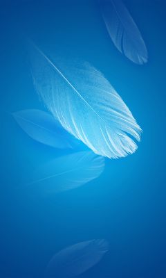 Fondo Abstracto de Pluma Azul