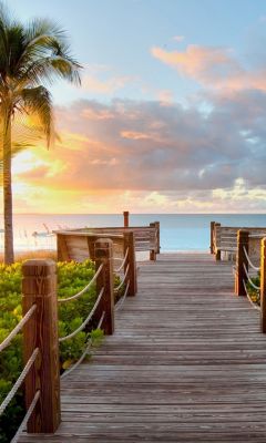 Muelle Tropical al Atardecer