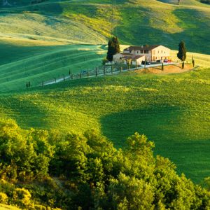 Hermoso Paisaje de Colinas Verdes