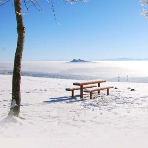 Paisaje Nevado con Banco