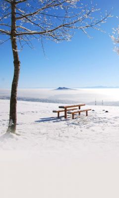 Paisaje Nevado con Banco