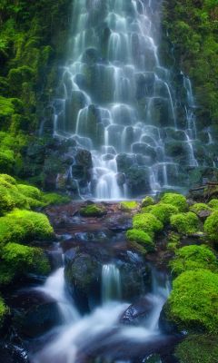 Cascada Serena en la Naturaleza