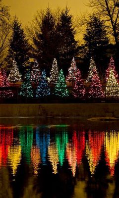 Reflejo de Árboles de Navidad Coloridos