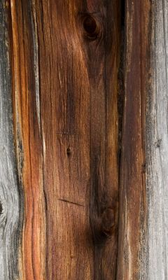 Textura de Madera