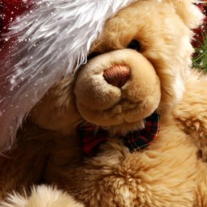 Teddy Bear de Navidad