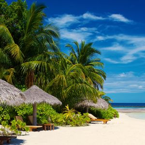 Paraíso Tropical