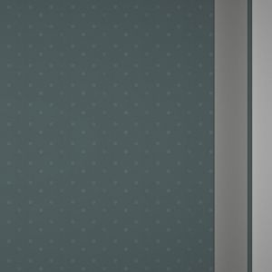 Fondo Minimalista Elegante