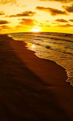 Atardecer Dorado sobre el Océano