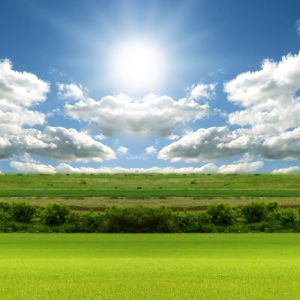 Pradera Soleada