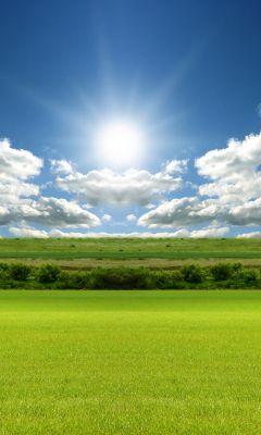 Pradera Soleada