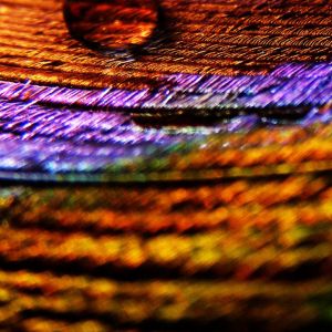 Patrones Abstractos Coloridos