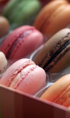 Macarons Coloridos