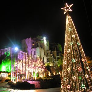 Árbol de Navidad de Noche