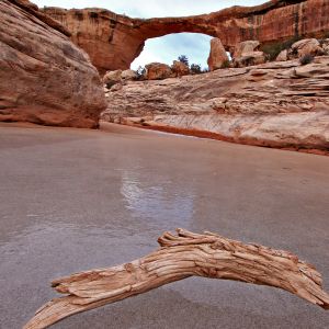 Arco Natural