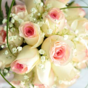 Hermoso Ramo de Rosas Rosadas