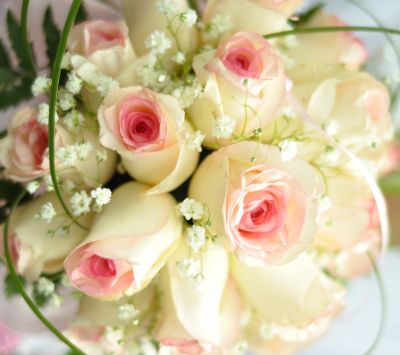 Hermoso Ramo de Rosas Rosadas