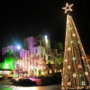 Árbol de Navidad de Noche