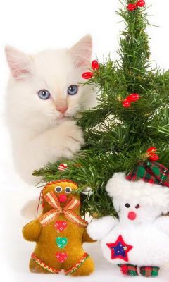 Gatito Adorable con Árbol de Navidad
