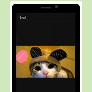 Gato Bonito con Stickers