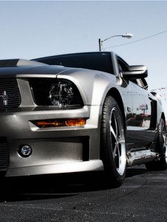 Coche Deportivo Mustang Plateado