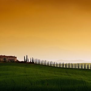 Paisaje Toscano al Atardecer