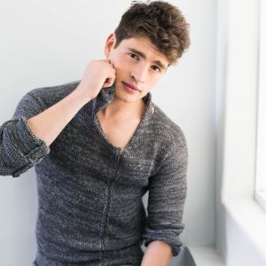 Retrato de un Joven Estiloso