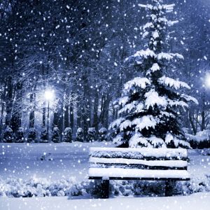 Noche Invernal Nevada
