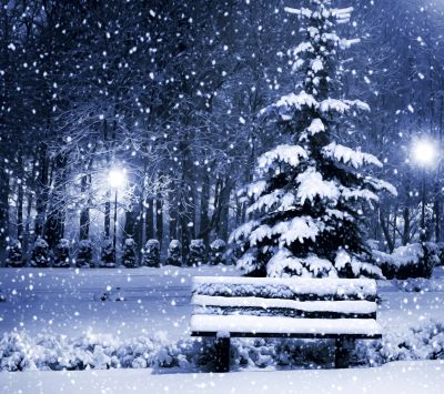 Noche Invernal Nevada