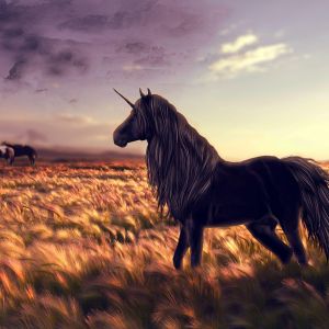 Majestuoso Unicornio Negro