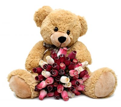 Osito con Rosas