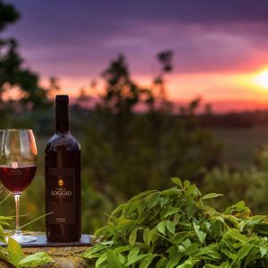 Botella de vino y atardecer