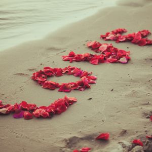 Amor en la Playa