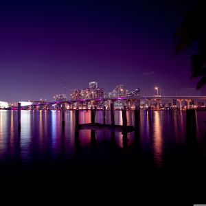 Skyline Nocturno de Miami