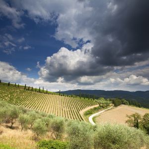 Hermoso paisaje toscano