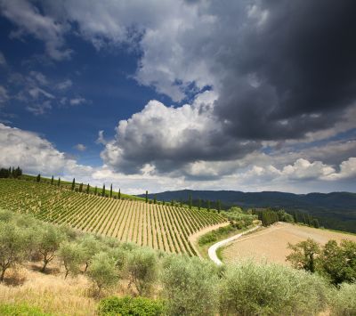 Hermoso paisaje toscano