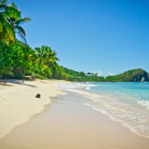 Paraíso de Playa Tropical