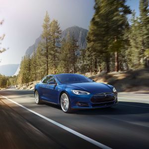 Tesla Model S en la Naturaleza