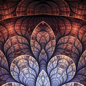 Patrones Abstractos Elegantes
