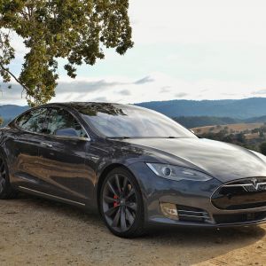 Tesla Model S en la Naturaleza