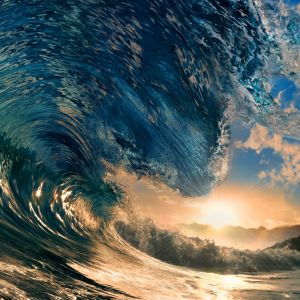 Ola Oceánica Majestuosa