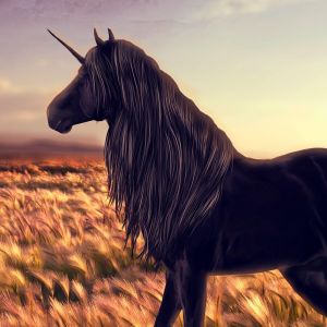 Majestuoso Unicornio Negro