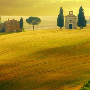 Paisaje Toscano Dorado