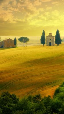 Paisaje Toscano Dorado