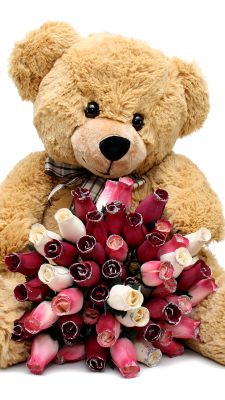 Osito con Rosas
