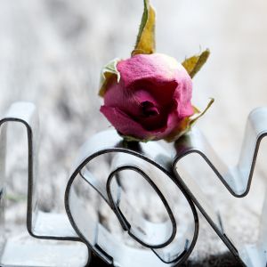 Decoración de Amor con Rosa