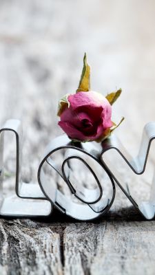 Decoración de Amor con Rosa