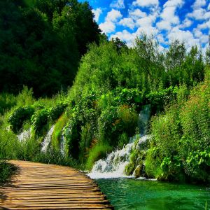 Paisaje de Cascada Sereno