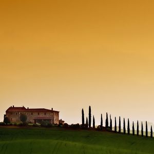 Paisaje Toscano al Atardecer